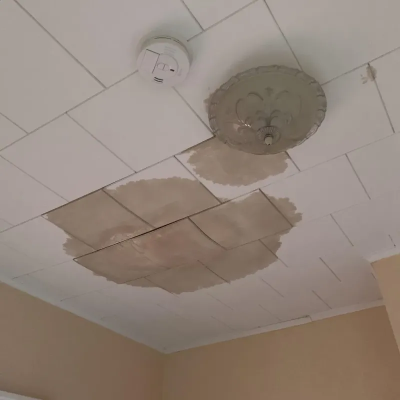 Ceiling Water Damage Repair in Van Buren County, AR