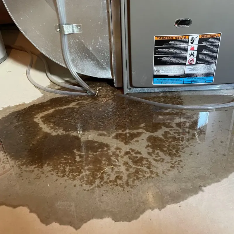 Pipe Burst and Leak Restoration in Van Buren County, AR