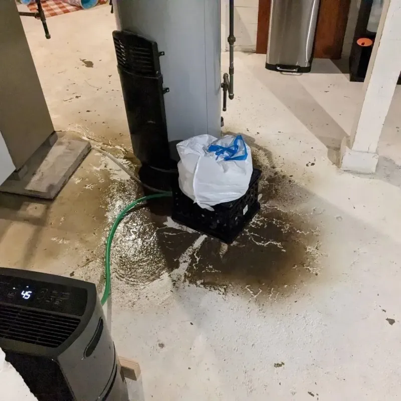 Sewage Backup Cleanup Service in Van Buren County, AR